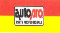 Auto Pro logo